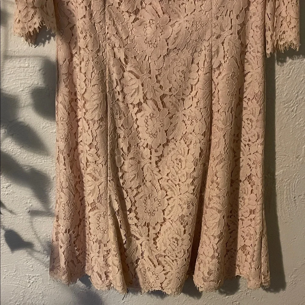 Eliza J Lace Long Sleeve Dress in Cream - Picture 3 of 8